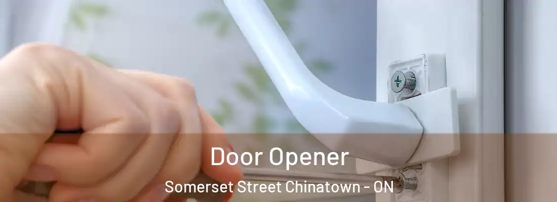  Door Opener Somerset Street Chinatown - ON