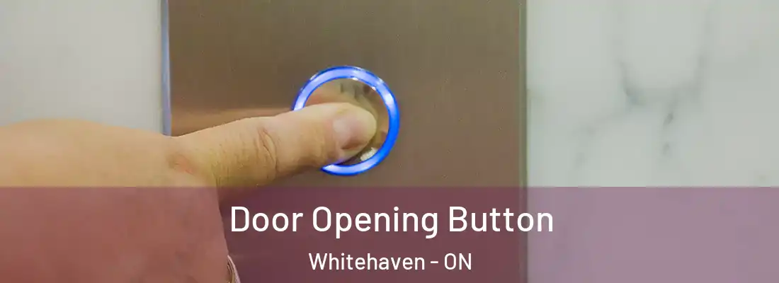  Door Opening Button Whitehaven - ON