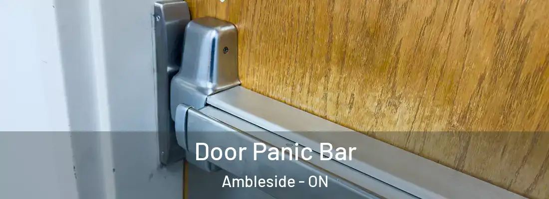  Door Panic Bar Ambleside - ON