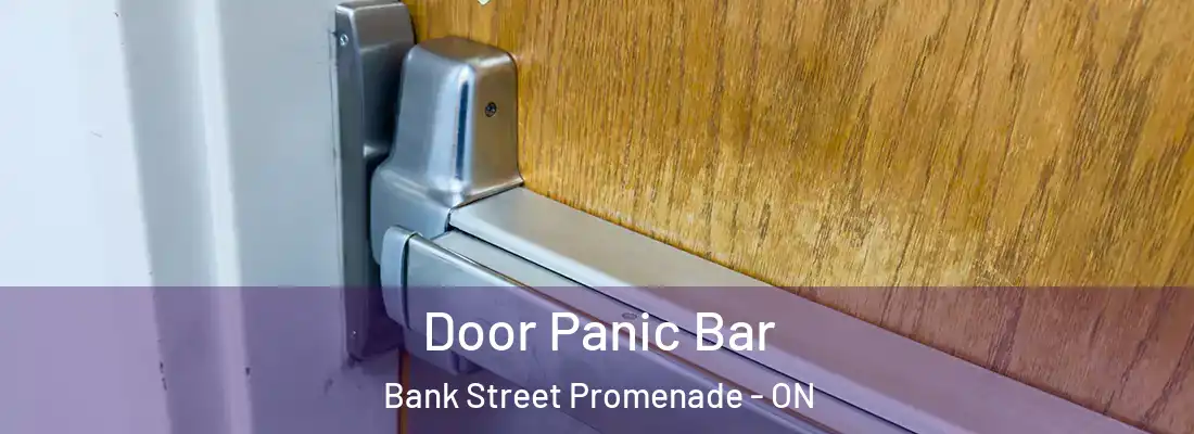  Door Panic Bar Bank Street Promenade - ON