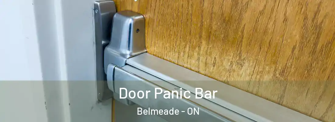 Door Panic Bar Belmeade - ON