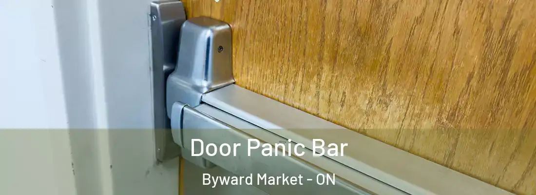  Door Panic Bar Byward Market - ON