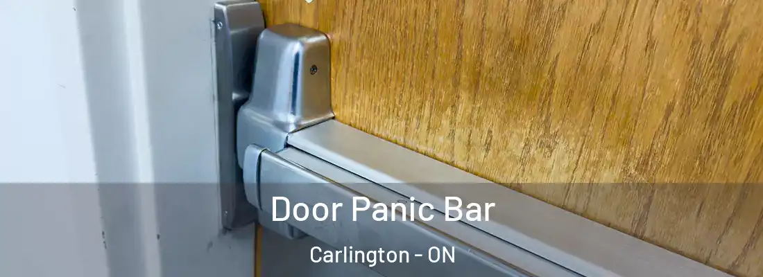  Door Panic Bar Carlington - ON