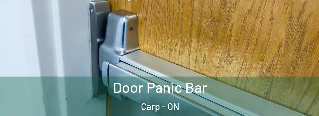  Door Panic Bar Carp - ON