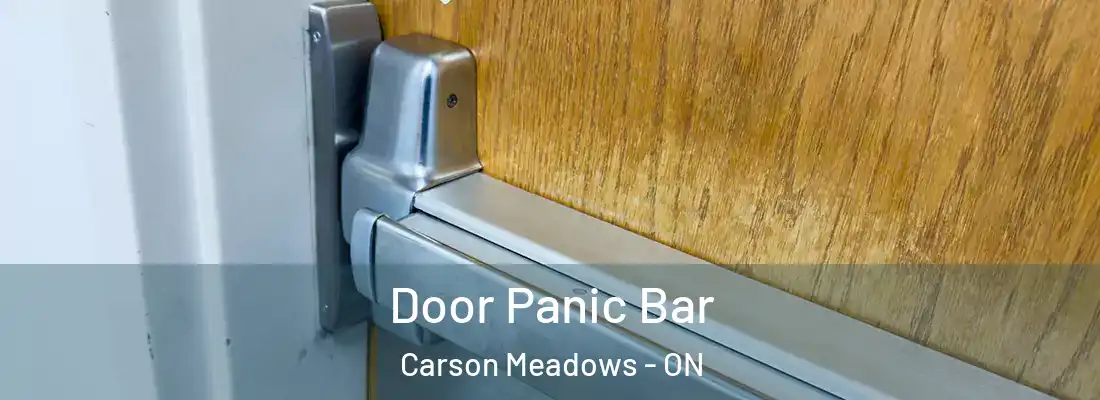  Door Panic Bar Carson Meadows - ON
