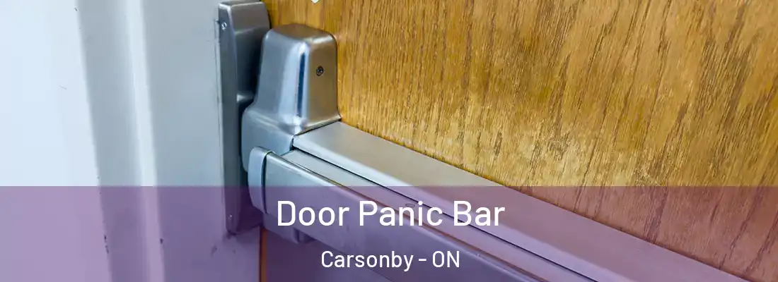  Door Panic Bar Carsonby - ON