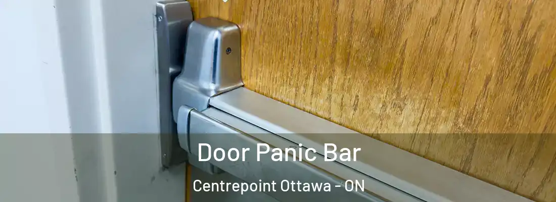  Door Panic Bar Centrepoint Ottawa - ON