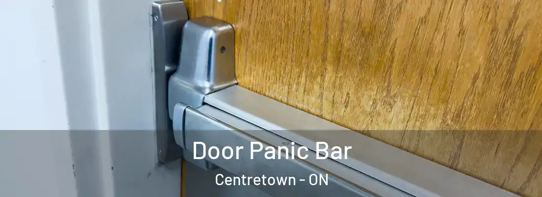  Door Panic Bar Centretown - ON