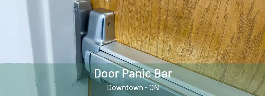  Door Panic Bar Downtown - ON