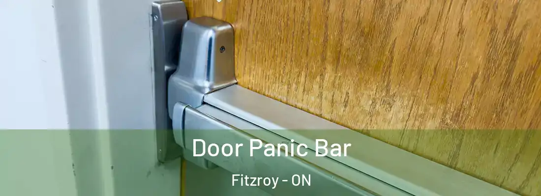  Door Panic Bar Fitzroy - ON