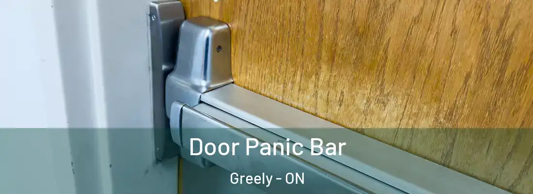  Door Panic Bar Greely - ON