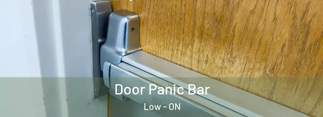  Door Panic Bar Low - ON