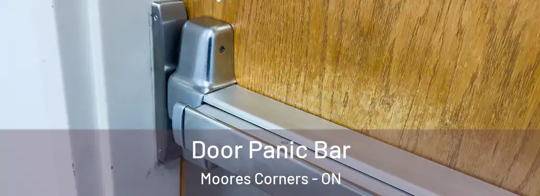  Door Panic Bar Moores Corners - ON