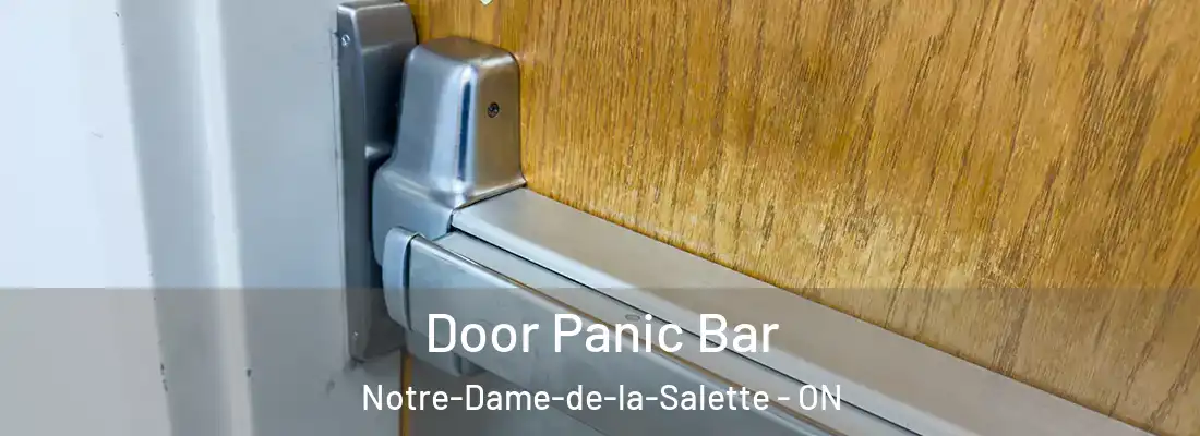  Door Panic Bar Notre-Dame-de-la-Salette - ON