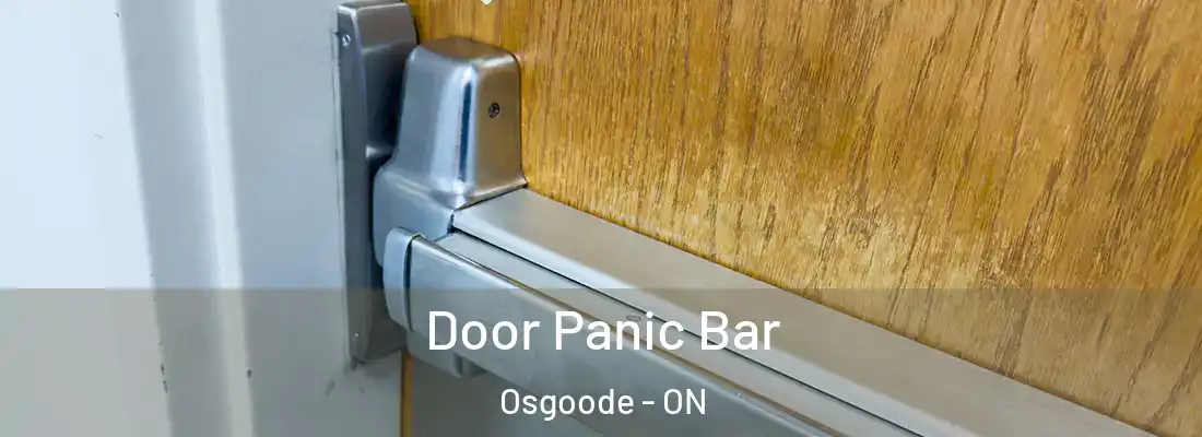  Door Panic Bar Osgoode - ON