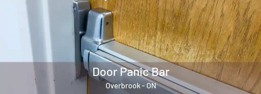  Door Panic Bar Overbrook - ON