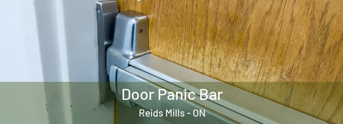  Door Panic Bar Reids Mills - ON