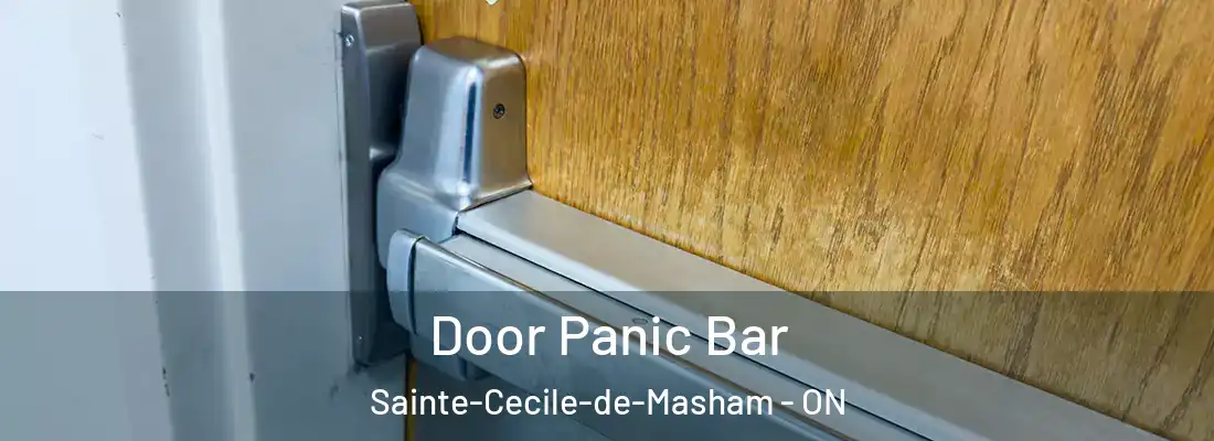  Door Panic Bar Sainte-Cecile-de-Masham - ON