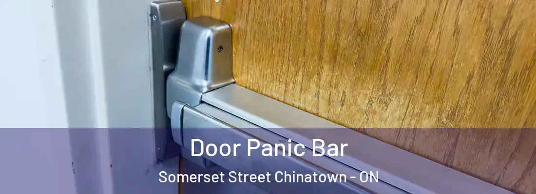  Door Panic Bar Somerset Street Chinatown - ON
