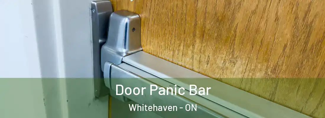  Door Panic Bar Whitehaven - ON