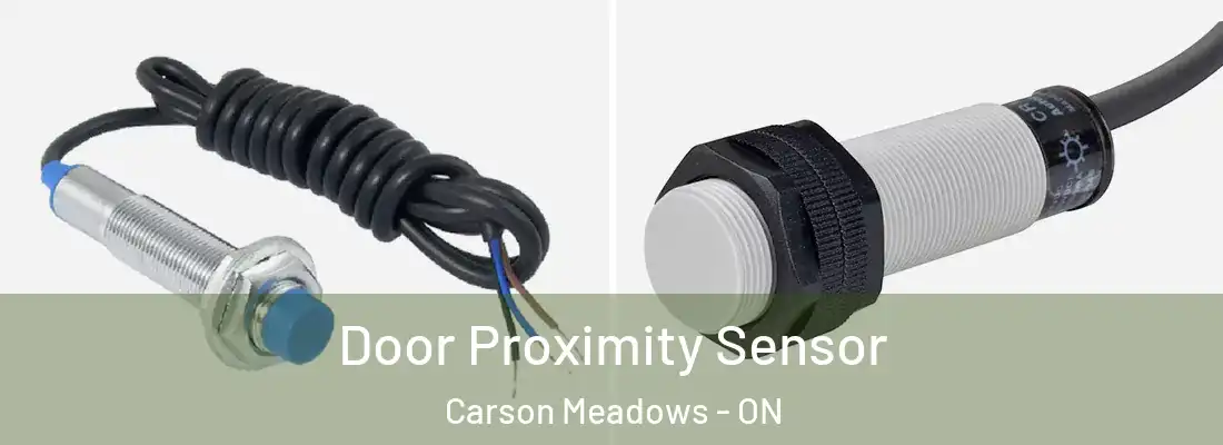  Door Proximity Sensor Carson Meadows - ON