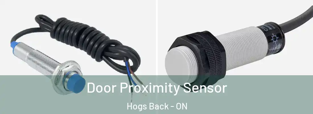  Door Proximity Sensor Hogs Back - ON