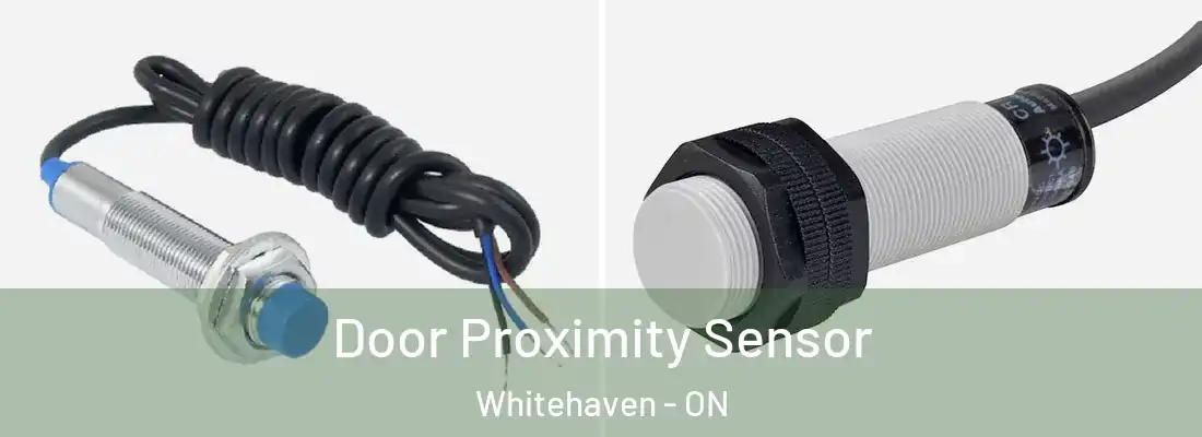  Door Proximity Sensor Whitehaven - ON