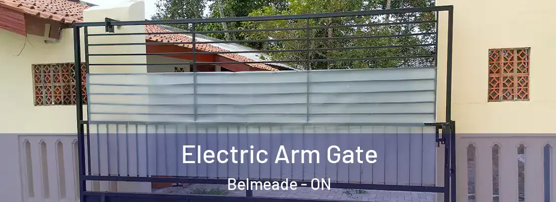  Electric Arm Gate Belmeade - ON