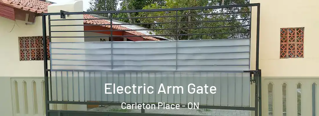  Electric Arm Gate Carleton Place - ON