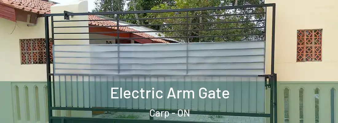  Electric Arm Gate Carp - ON