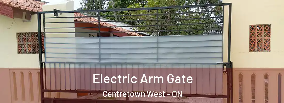  Electric Arm Gate Centretown West - ON