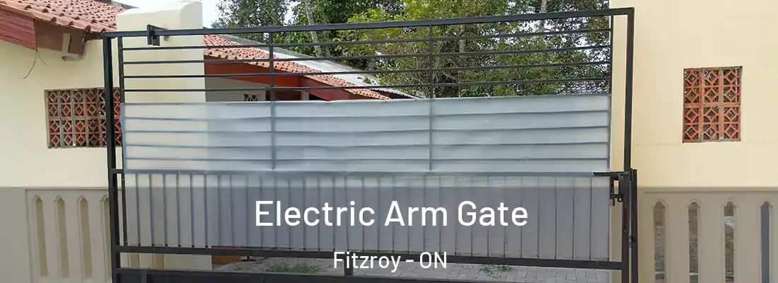  Electric Arm Gate Fitzroy - ON