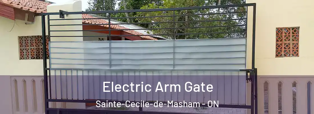  Electric Arm Gate Sainte-Cecile-de-Masham - ON
