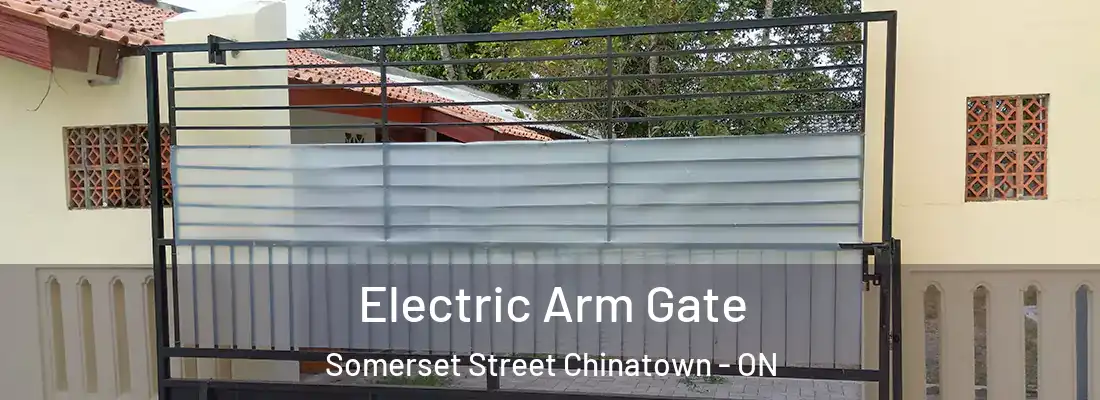  Electric Arm Gate Somerset Street Chinatown - ON