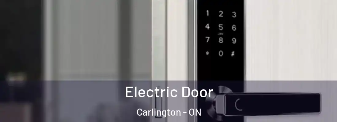  Electric Door Carlington - ON