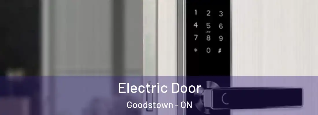  Electric Door Goodstown - ON