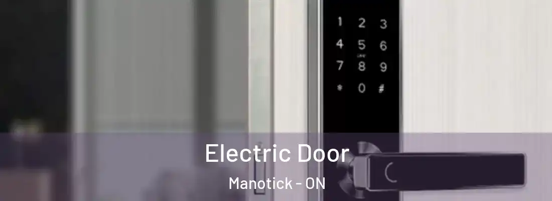  Electric Door Manotick - ON