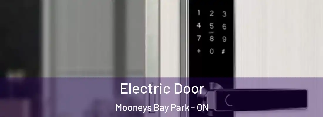  Electric Door Mooneys Bay Park - ON