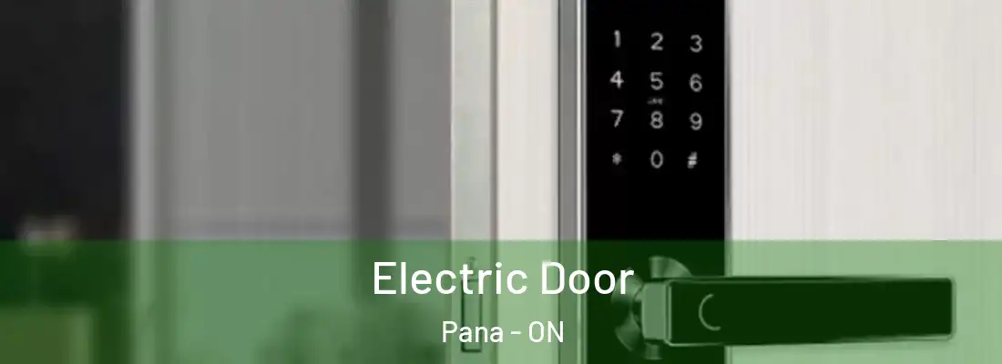  Electric Door Pana - ON