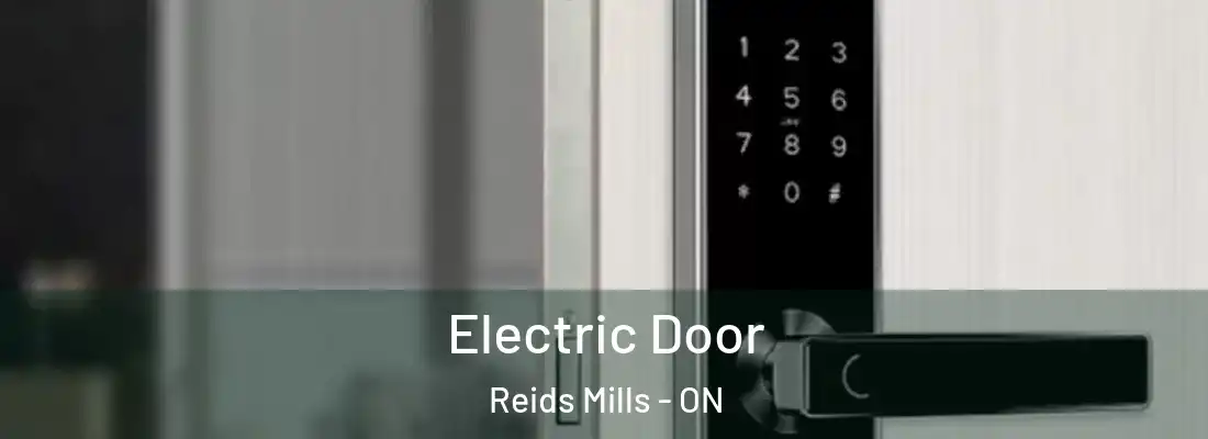  Electric Door Reids Mills - ON