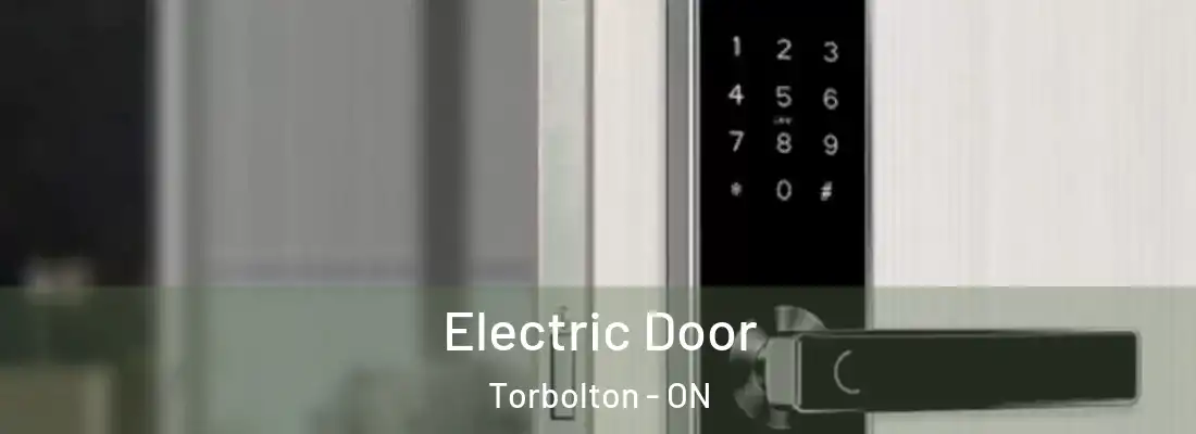  Electric Door Torbolton - ON