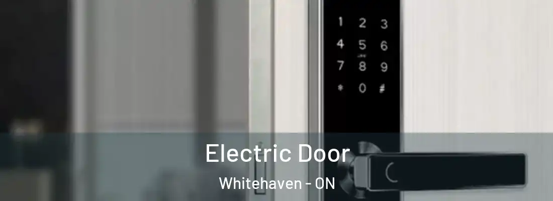  Electric Door Whitehaven - ON