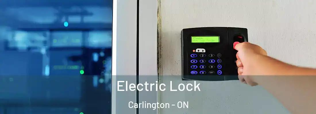  Electric Lock Carlington - ON