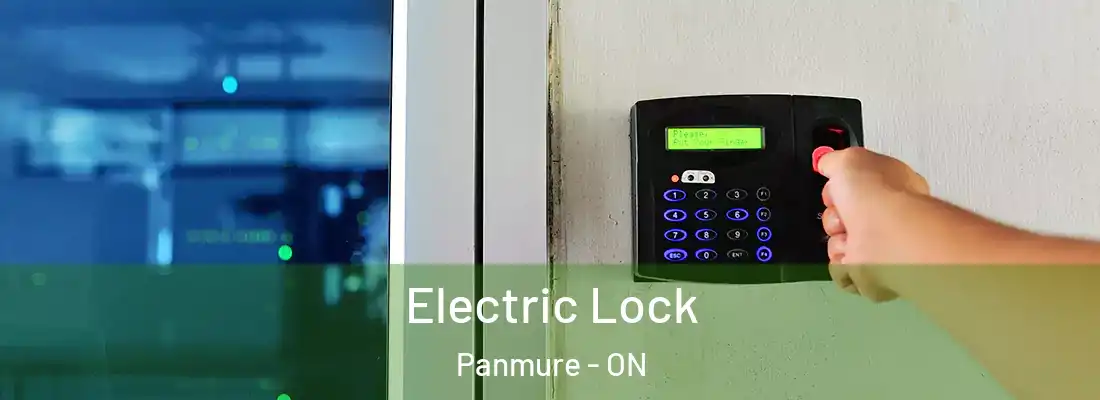  Electric Lock Panmure - ON