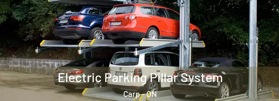  Electric Parking Pillar System Carp - ON