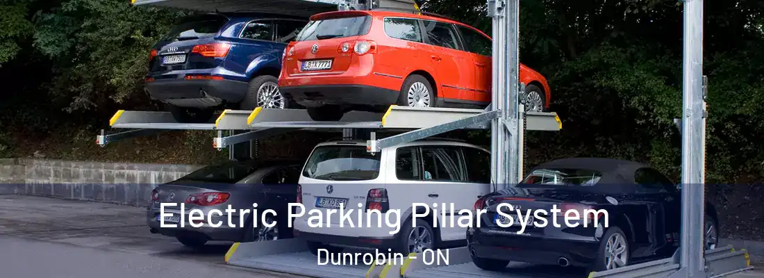  Electric Parking Pillar System Dunrobin - ON