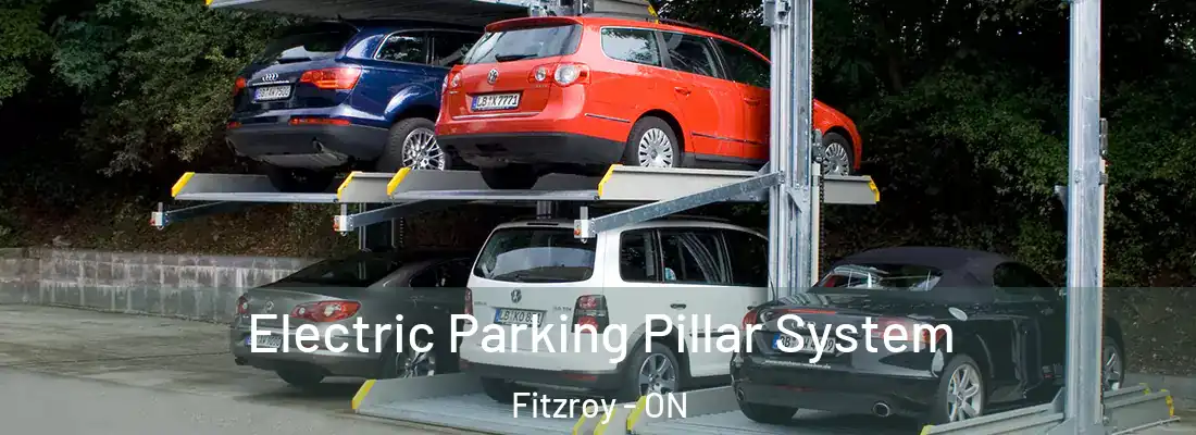  Electric Parking Pillar System Fitzroy - ON