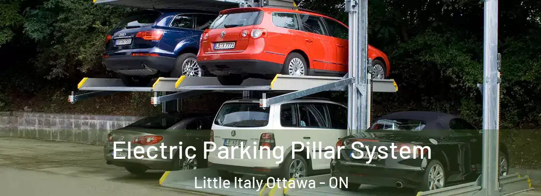 Electric Parking Pillar System Little Italy Ottawa - ON
