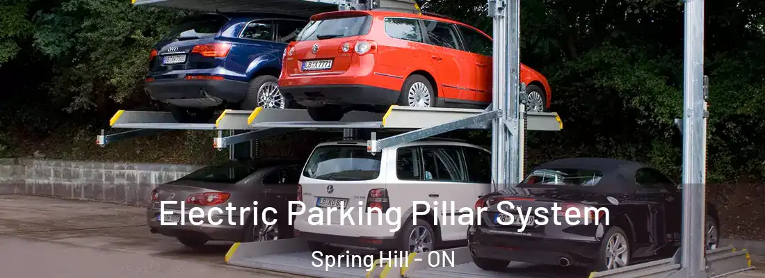  Electric Parking Pillar System Spring Hill - ON
