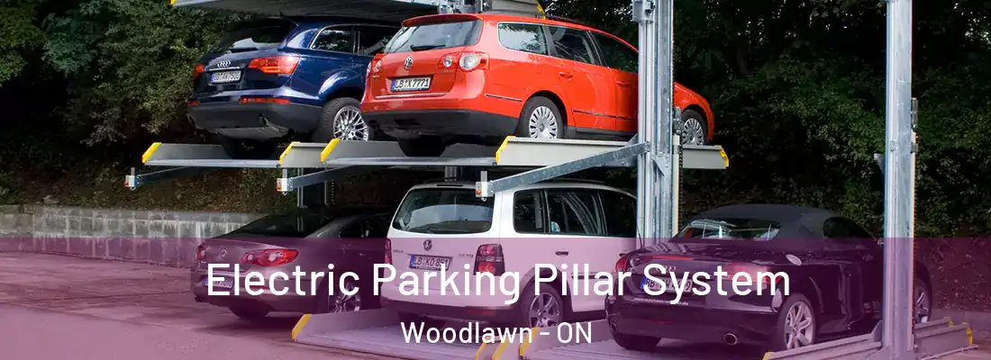  Electric Parking Pillar System Woodlawn - ON
